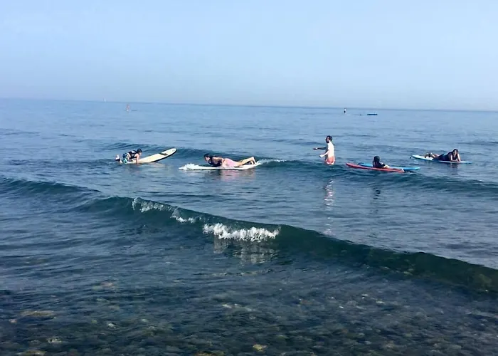 帕洛马勒斯旅馆 招待所